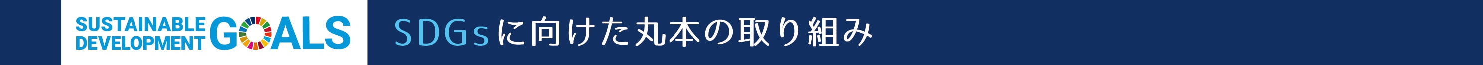 SDGsに向けた丸本の取り組み